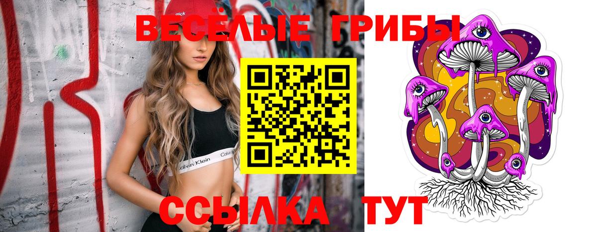 Псилоцибиновые грибы MAGIC MUSHROOMS  хочу наркоту  Учалы  Вход с VPN 